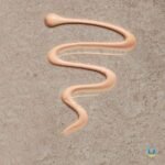 Aveeno Calm + Restore Daily Moisturizer Mineral Sunscreen